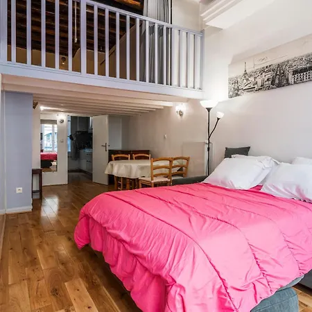 Louvre Chatelet Apartment Paris
